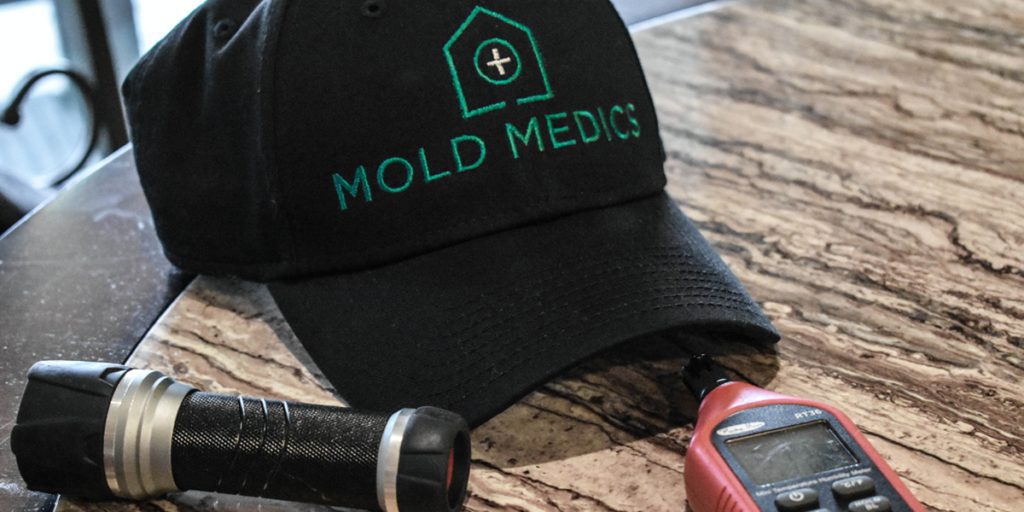 Mold Services for Property Managers