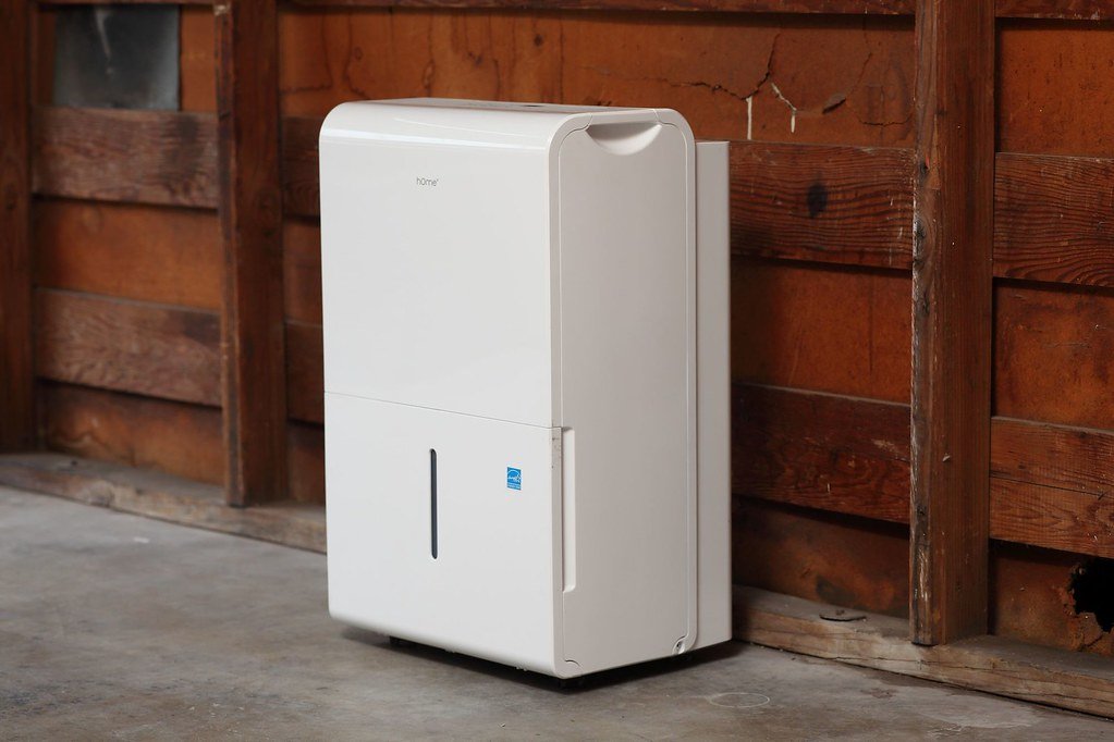 Do I need a Dehumidifier to prevent mold growth?