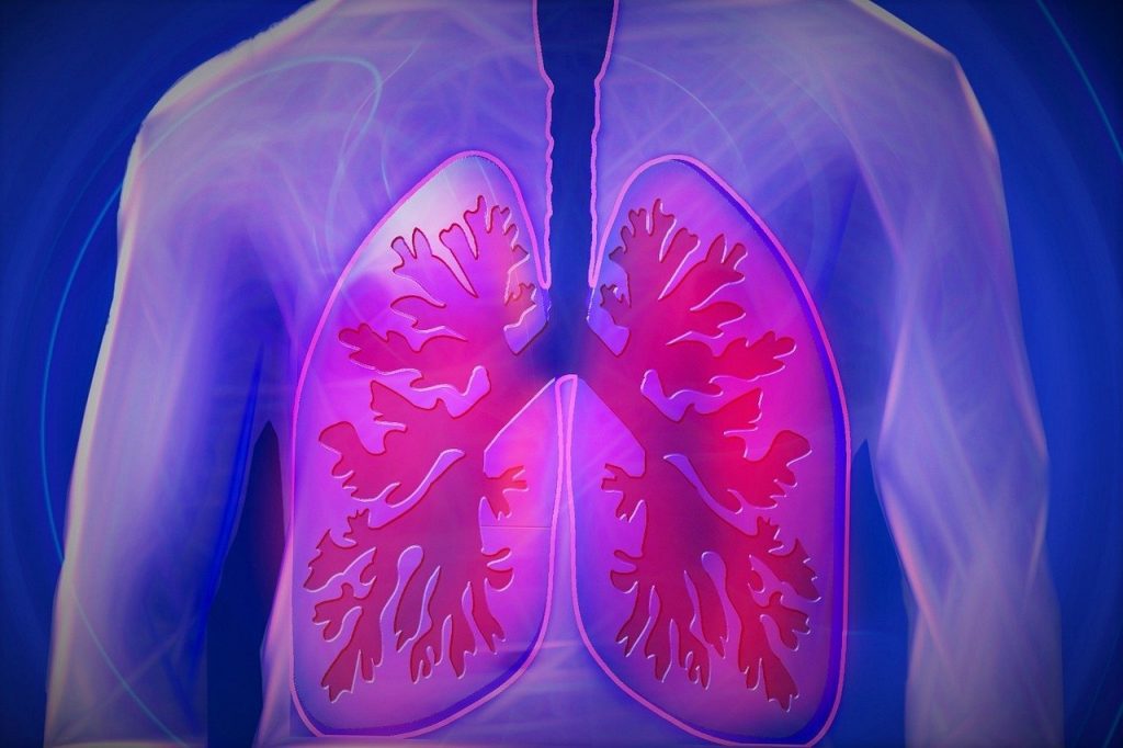 What’s the Link Between Mold and Cystic Fibrosis?
