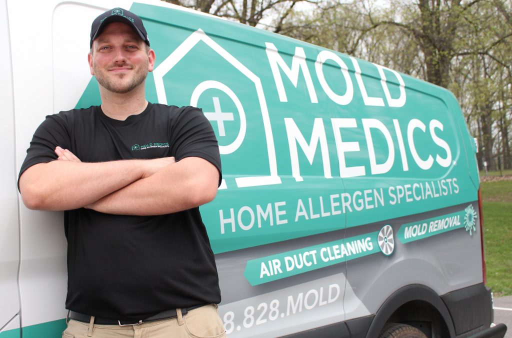 How Do Professionals Remove Mold?