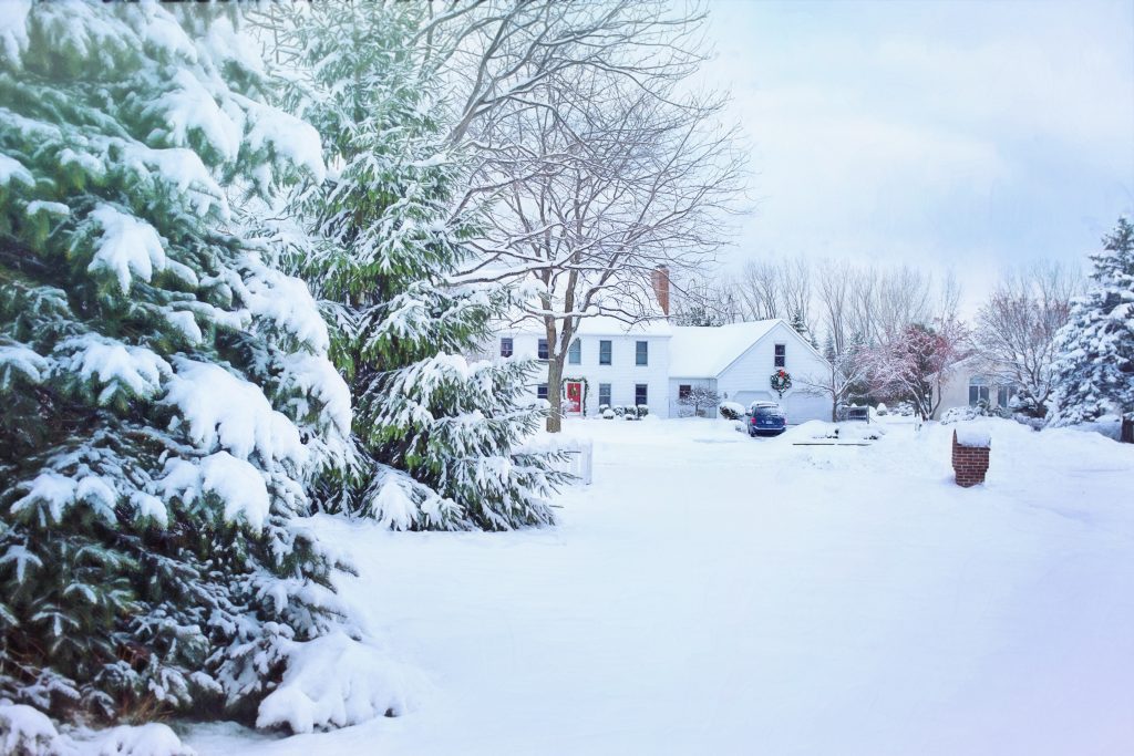 Mold Growth During Winter Months