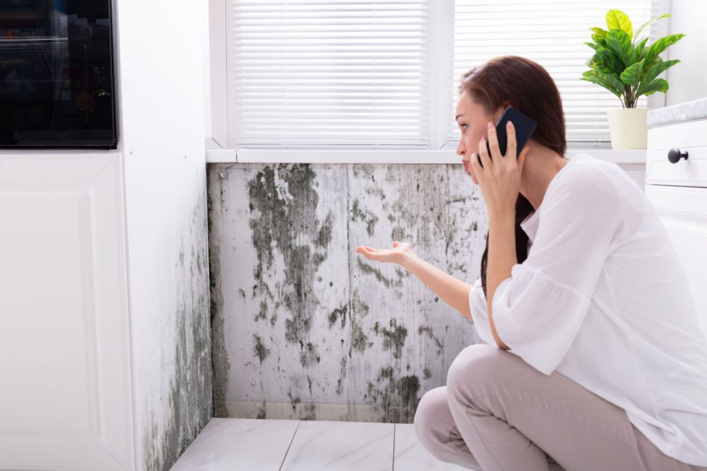 How Long Does it Take for Mold to Grow After Water Damage? Mold Medics