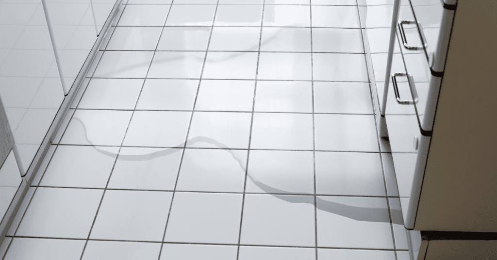 Don't Let Leaky Appliances Sink Your Home